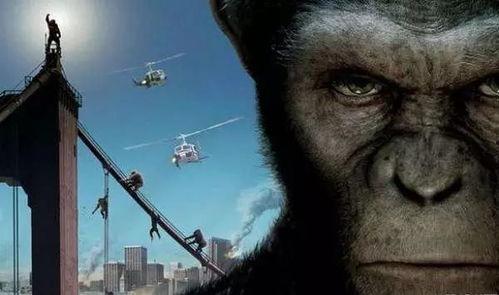 猩猿崛起在线观看,智勇逆袭,重铸家园传奇 第3张 猩猿崛起在线观看,智勇逆袭,重铸家园传奇 第3张